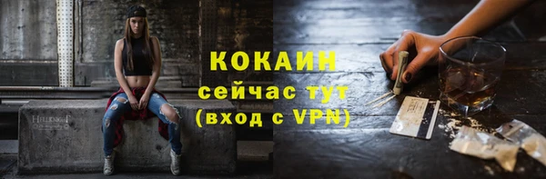 соль ск Алексин