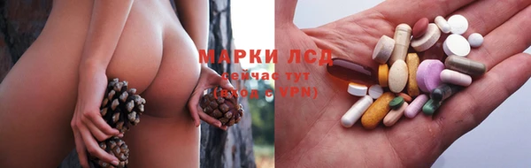 тгк Алзамай
