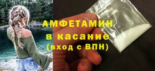 индика Протвино