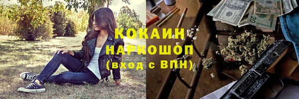 соль ск Алексин